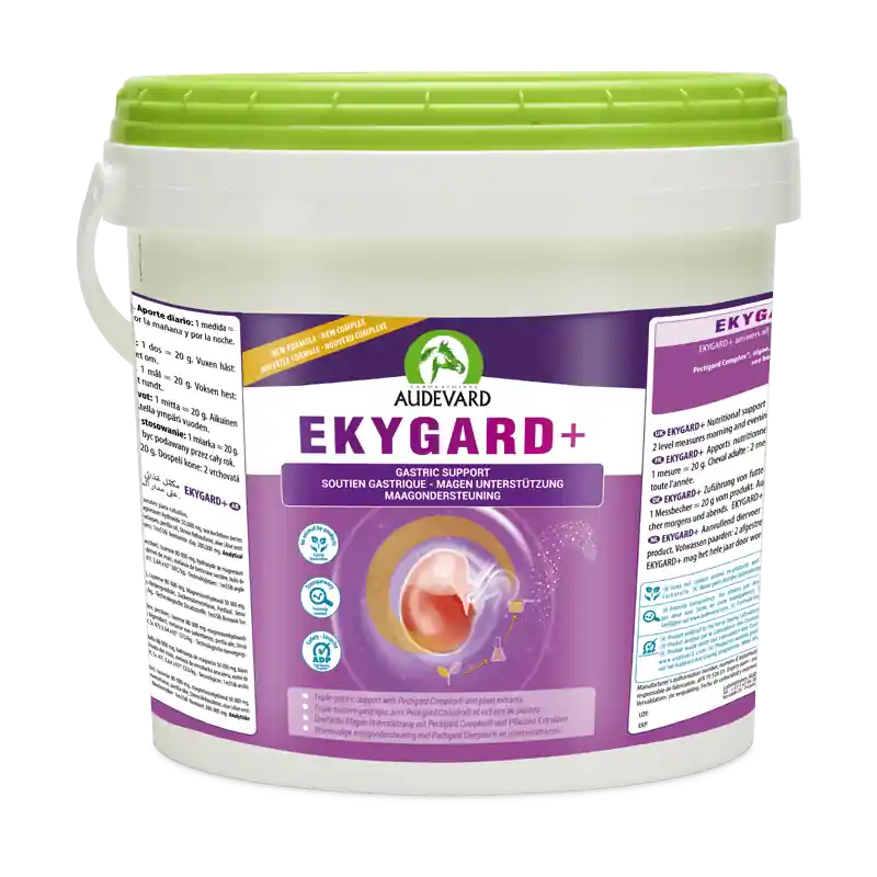 Audevard Ekygard + - complément gastrique cheval | Disponible dès maintenant