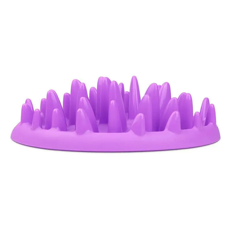 Northmate Catch - gamelle anti-glouton violette chat | Expédition rapide