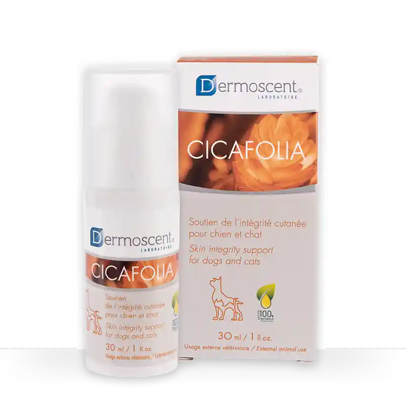 Coup de cœur - Dermoscent Cicafolia - sérum réparateur cutané chien & chat