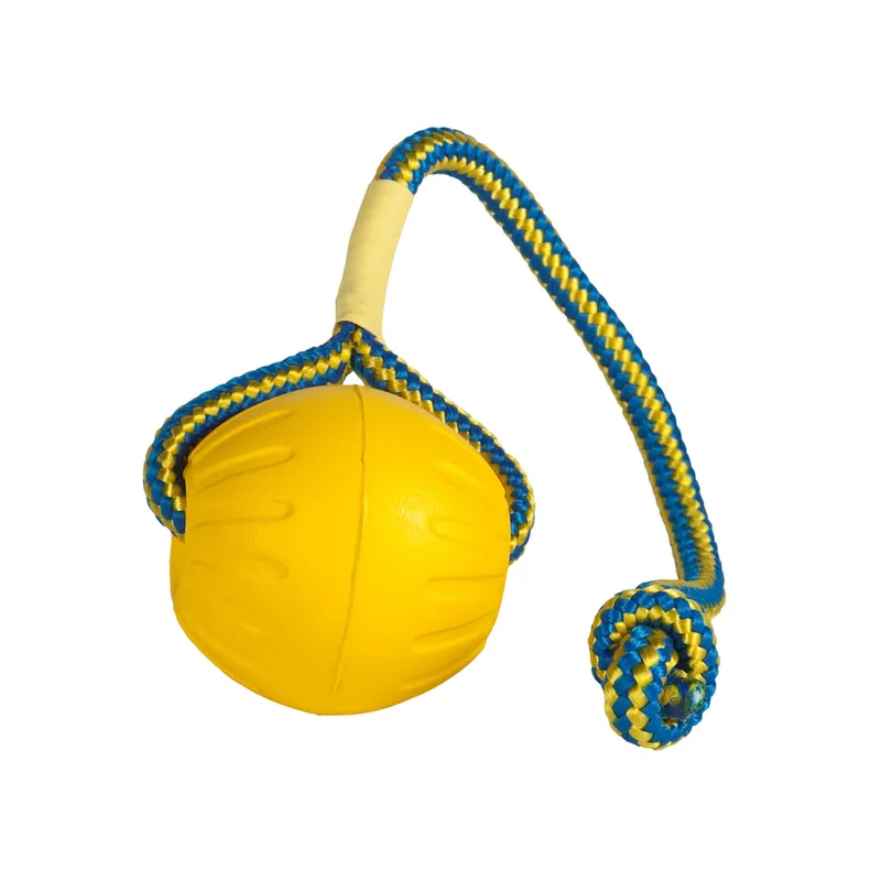 Offre limitée | Balle Everlasting Swing n Fling Fetch Ball corde L pour chien