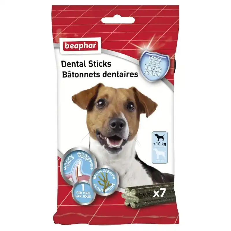 Se termine bientôt | BATONNETS DENTAIRES PETITS CHIENS