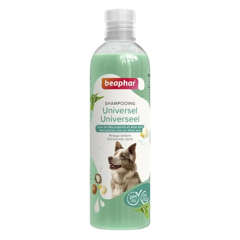 SHAMPOING UNIVERSEL 250ml | Prix exceptionnel