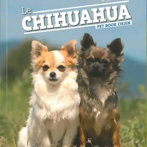 Artémis - Le Chihuahua | Super offre