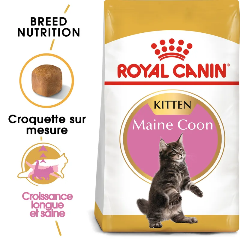 Produit phare | Royal Canin - Croquettes Maine Coon Kitten pour Chaton