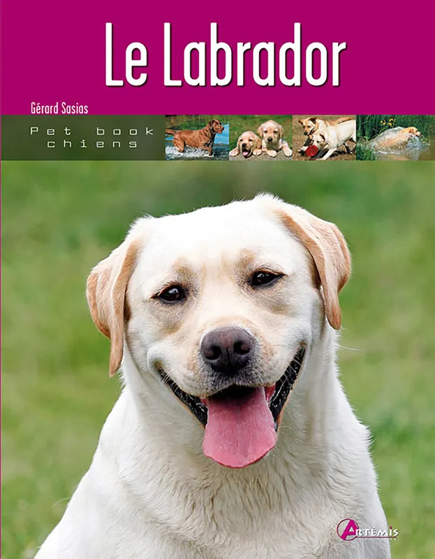 Expédition express - Artémis - Le Labrador