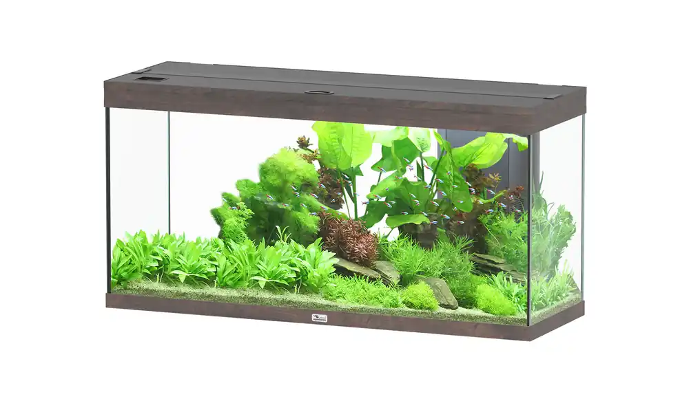 Achetez dès maintenant | Aquatlantis - Aquarium SPLENDID Led 2.0 Equipé Chêne Brun - 240L