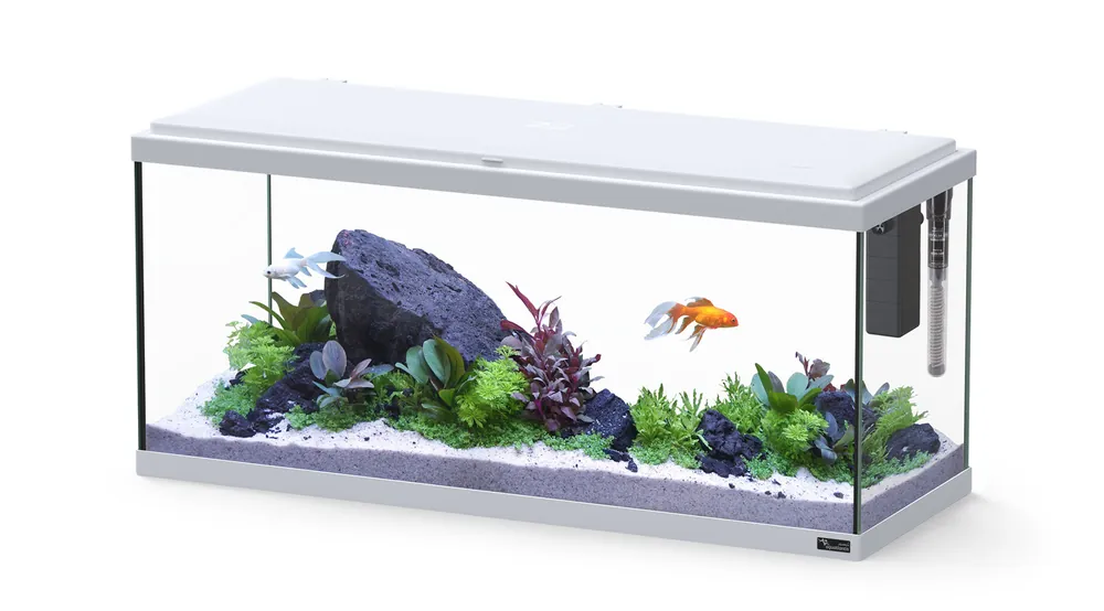 Livraison express | Aquatlantis - Aquarium Explorer Amsterdam 80 Equipé