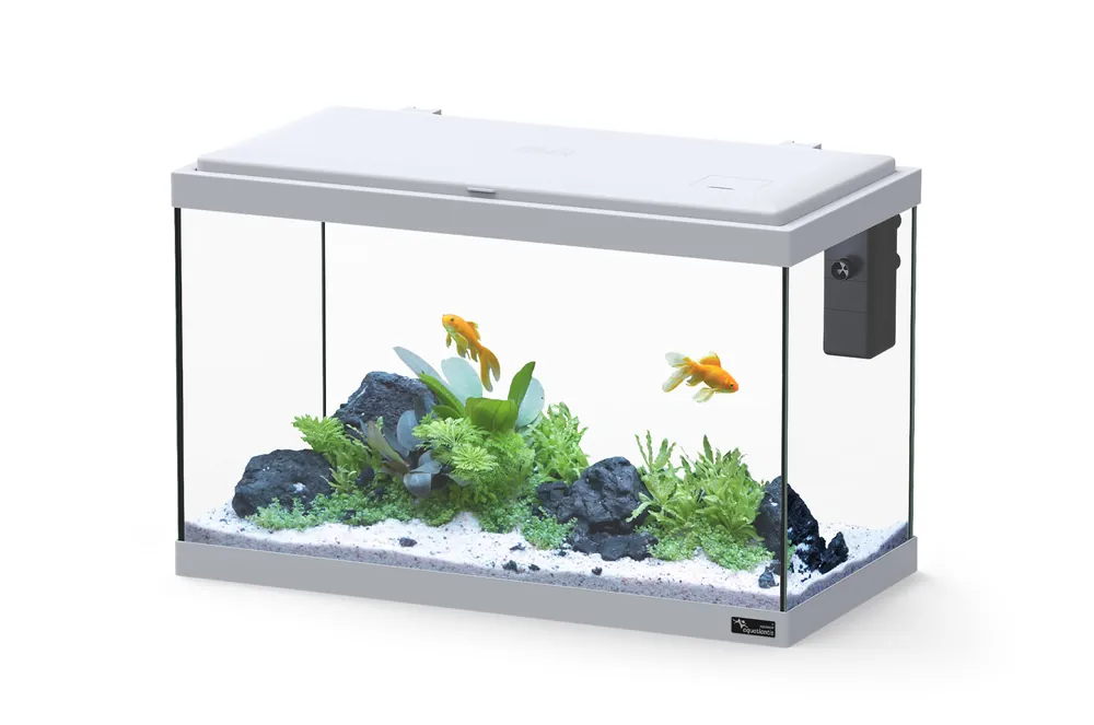 Aquatlantis - Aquarium Explorer Vienna avec Biofilter | En stock