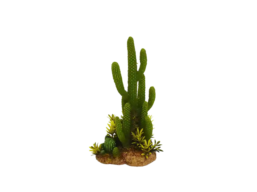 Amtra - Décoration Mexico Cactus 9 pour Aquarium | Commandez dès aujourd'hui