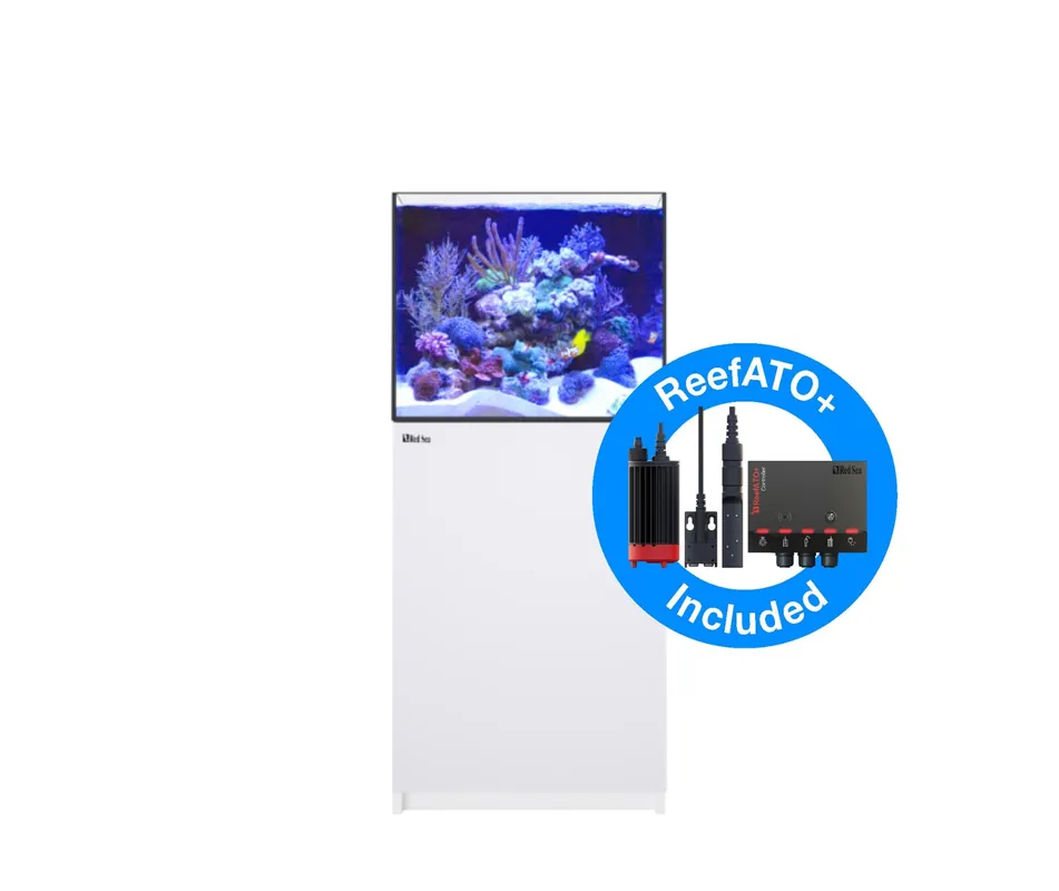 Red Sea - Aquarium Reefer MAX 200 G2+ | Commandez dès maintenant