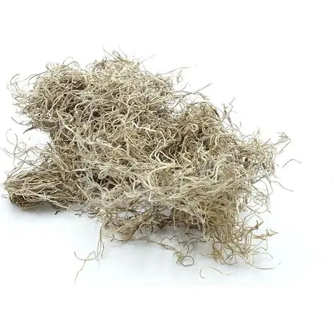 Mousse espagnole BioSpain, Tillandsia usneoides séchée 100 g | Nouveau lancement