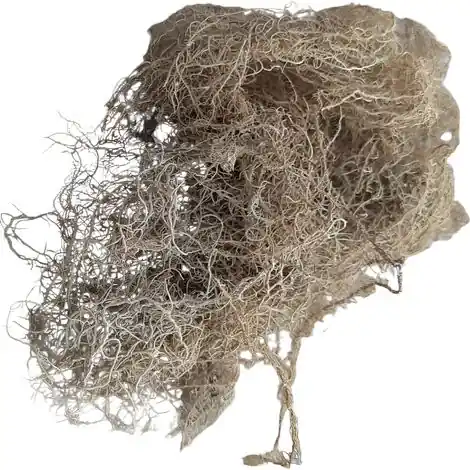 Lichen gris 25 g - Profitez-en