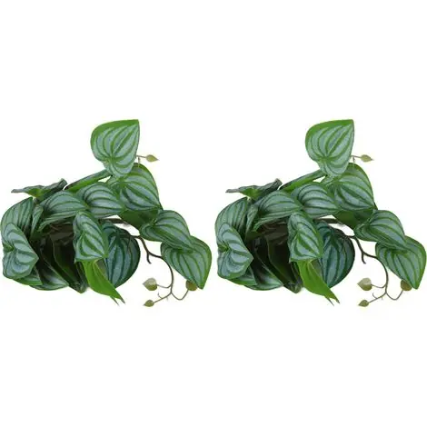 2 Pièces Plantes Artificielles Aquarium avec Ventouses - Lianes en Plastique Réalistes pour Décor de Bassin - Feuilles de Pastèque Simulées | Satisfait ou remboursé
