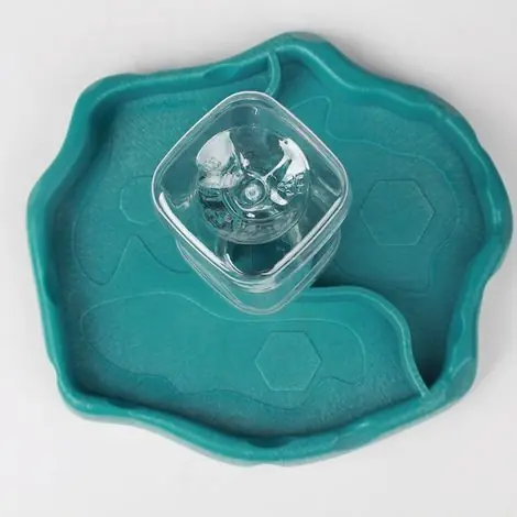 (Bleu) Reptile Fontaine à boire, Bol anti déversement pour mangeoire alimentaire 2 en 1, Bol en plastique Turtle Gecko - Très bien noté