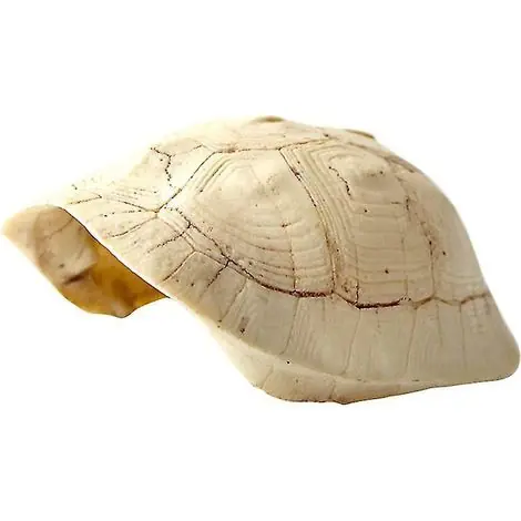 1 plateforme pour aquarium - Bon plan