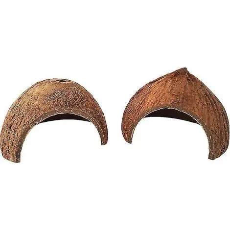 Lot de 2 grottes pour reptiles - Derniers exemplaires