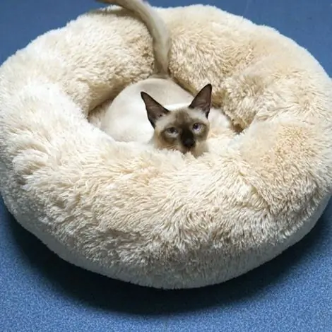 Coussin pour animaux de compagnie 50cm en peluche douce S beige - Lit confortable pour chien et chat - Prix réduit