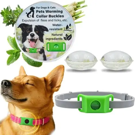 Nouveau chez nous | Gisam – Collier anti-puces et antiparasitaire pour chien – Protection naturelle aux huiles essentielles – Réglable, léger et résistant à l’eau – Compatible AirTag