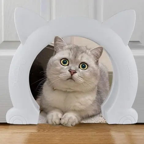 Grande porte intérieure pour chat, porte intérieure XL pour chat, portes pour animaux de compagnie pour chats, chatons et petits chiens (blanc) - Derniers articles