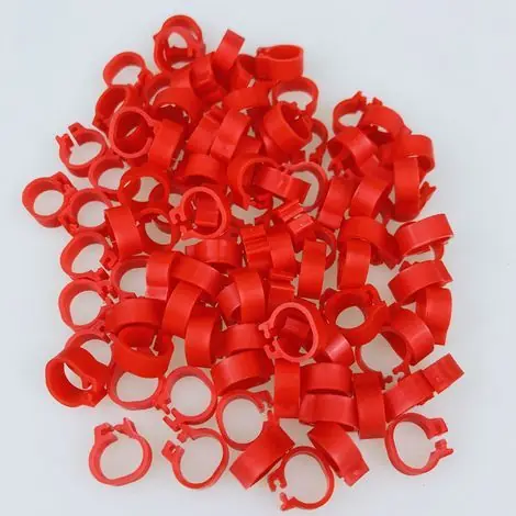 100pcs Bird foot ring 8mm 001 - 100 numéro pigeon identification volaille fournitures clip pigeon anneau pigeon patte anneau (rouge) - Très demandé