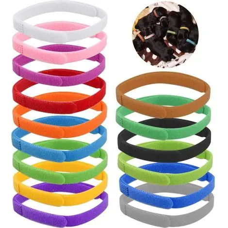 Direct fabricant | Colliers d‘identification 15 PCS pour petits chiens et chatons de différentes couleurs, couleur de collier réglable pour petits chiens (L-35cm)-
