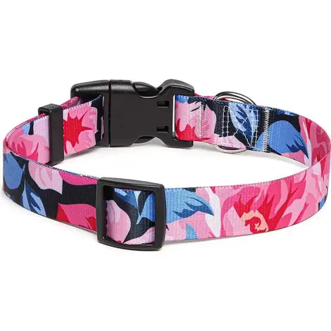 Collier pour chien motif tendance avec boucle à dégagement rapide collier en nylon réglable classique | Dernier arrivage