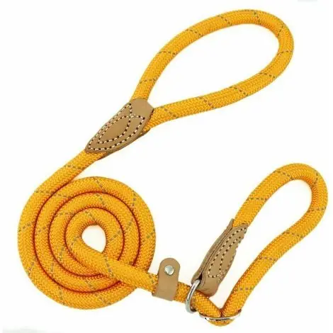 Paiement sécurisé | Laisse Dressage Chien Lasso Laisse Réfléchissant Laisse pour Chiens Petits, Moyens, Grands et Très Lourds - 1,0cm de Diamètre x 150cm de Longue(Orange)