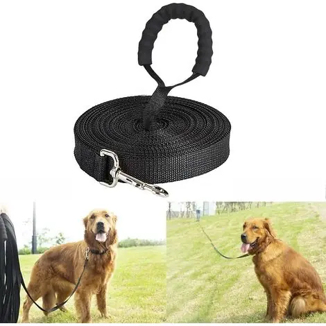 1 Longe Chien, Nylon Résistant, Poignée Rembourrée, Mousqueton Renforcé, Dressage Extérieur - Commandez dès aujourd'hui