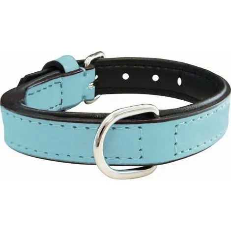 Achat sécurisé | Collier pour chien gloria rembourré bleu (45 x 2 cm)