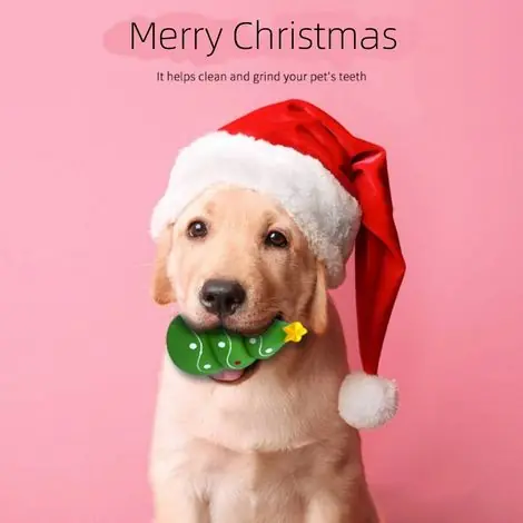 Se termine bientôt - Jouet à mâchonner pour chien en bois grinçant - Idéal chiot et petit chien - Jouet souple et durable