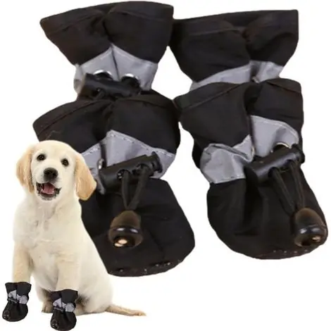 Offre exclusive | Chaussures pour chiens avec protection des pattes. Chaussures imperméables pour chiens à quatre pattes. Confortables, respirantes et imperméables.