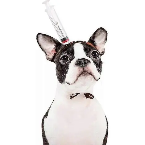Prix en baisse - Coiffe d‘Halloween amusante pour animaux de compagnie, chapeau pour chien ou chat, accessoire de farce, style M 1