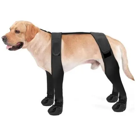 PA Bottes à bretelles pour chien, montantes, antidérapantes, anti-chute, réglables, protection des pattes (taille L, noires) - Très demandé