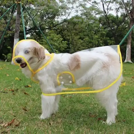 Imperméable pour chien, manteau pour chien avec capuche, ajustable pour chiens de petite, moyenne et grande taille (Jaune, Taille S) - Économisez maintenant