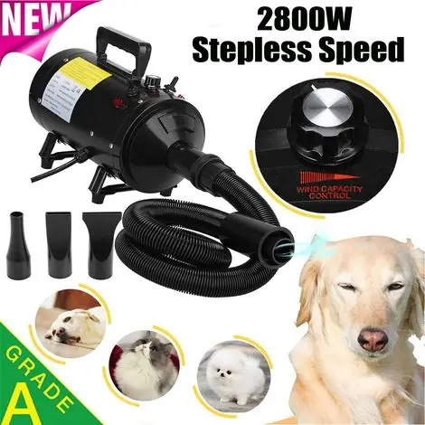 Sèche-cheveux pour animaux de compagnie 4 en 1 avec 4 buses et tuyau extensible Pelz Blaster - Qualité professionnelle