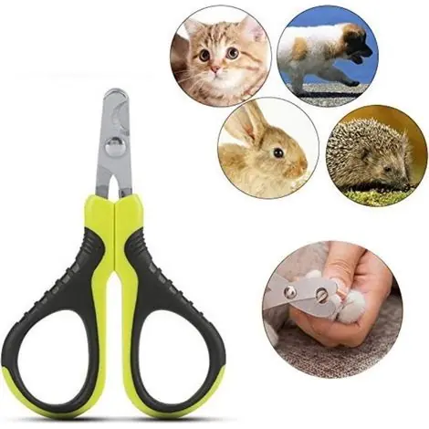 Commandez en ligne | Coupe-ongles portable professionnel pour chats, chiens, chiots, lapins, oiseaux et petits animaux