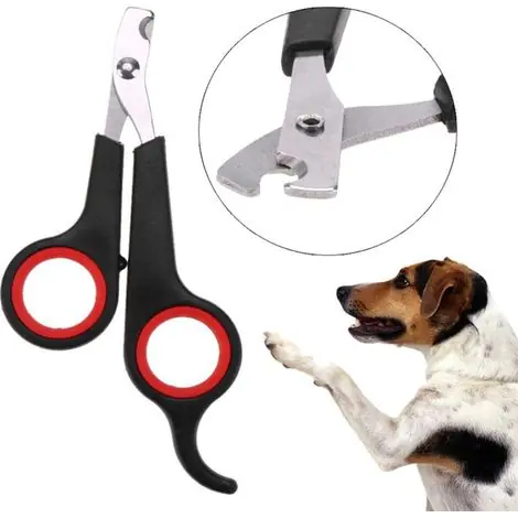 Ciseaux à griffes pour chien et chat | Disponible à la commande