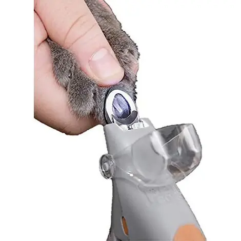 Coupe-ongles pour animaux avec LED, capteur de sang pour pattes de chat ou de chien, anti-éclaboussures, orange et gris, 15 cm, 1 pièce - Bien noté