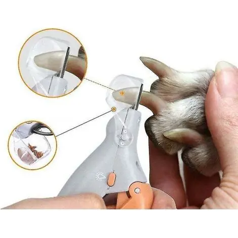 Très demandé | professionnel coupe-ongles pour animaux de compagnie ciseaux chien chat ongles orteil griffe Clipp