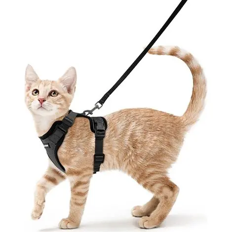 Achetez dès aujourd'hui | Harnais Chat Petit Chien Laisse Harnais Chaton Réglable Noir S Collier Harnai Chat Refléchissant Gilet Respirant pour Lapin, Chat Européen, Maine Coon, Persan, Attache Dessus avec Laisse