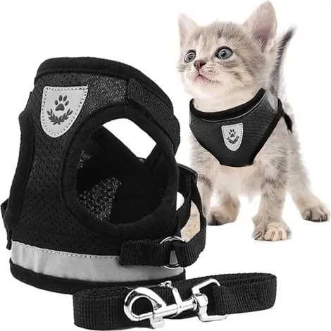 Harnais pour chat réglable avec laisse – Conception réfléchissante pour sécurité – Maille respirante – Confortable pour balades (M) - Envoi rapide